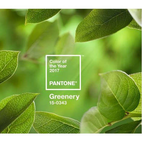 Pantone couleur 2017 vert greenery Corailindigo