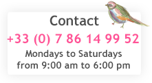 contact