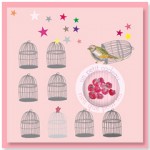 carte-enchantement-framboise