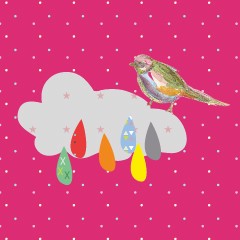 Coupon oiseau nuages 20x20cm (prix mini, prix départ 7€)