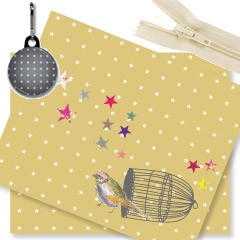 Kit trousse oiseau or (prix mini, prix départ 22€)