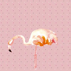 Coupon élégance du flamant rose 40x40cm